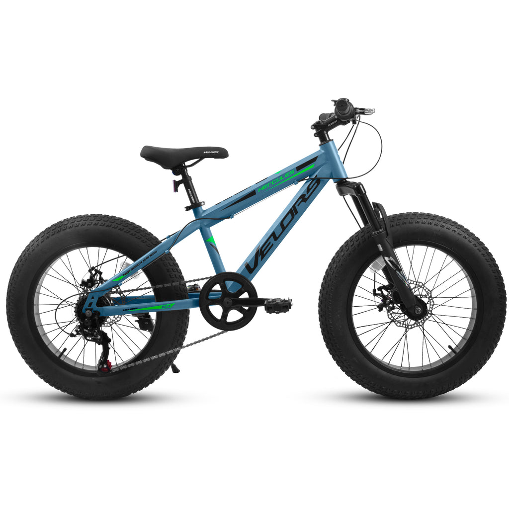 V20235 20 Inch Fat Tire Bike 7 Speed Mountain Bike, Dual Disc Brakes, High Carbon Steel Frame, Front Suspension, Mountain Buggy, City Commuter City Bike, Fat Tire Bike